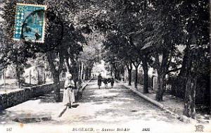 Bugeaud - Avenue Bel-Air - 1925